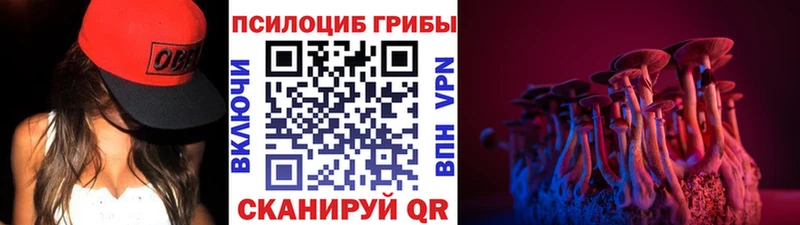 Псилоцибиновые грибы MAGIC MUSHROOMS  Туринск 